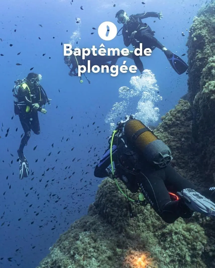 Superbe T2 Club Cap Esterel Animations Petits Et Grands Sports&Activites Multisports Saint-Raphaël